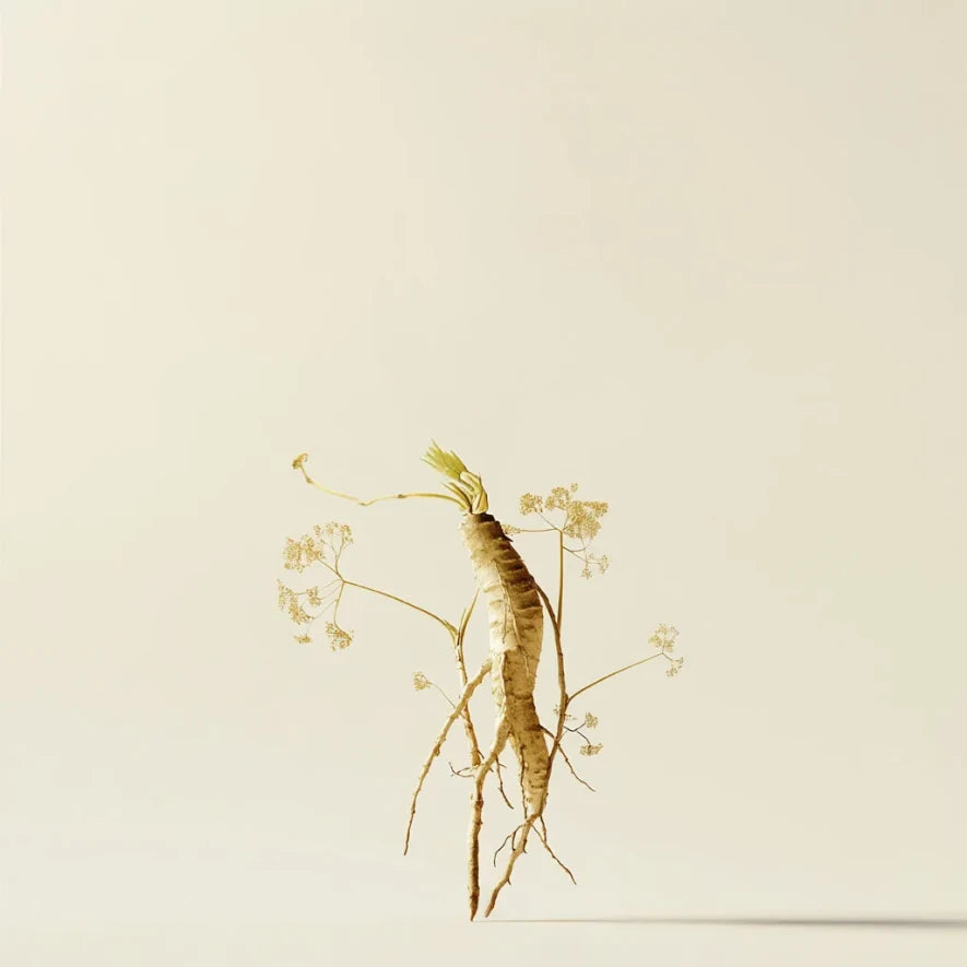 SHAMPOO VOLUMIZZANTE INSIGHT  – VOLUME NATURALE PER CAPELLI SOTTILI-350/900ML